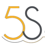 5S Consultores